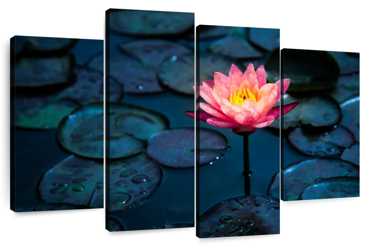 Pink Pop Lotus Flower Wall Art | Photography