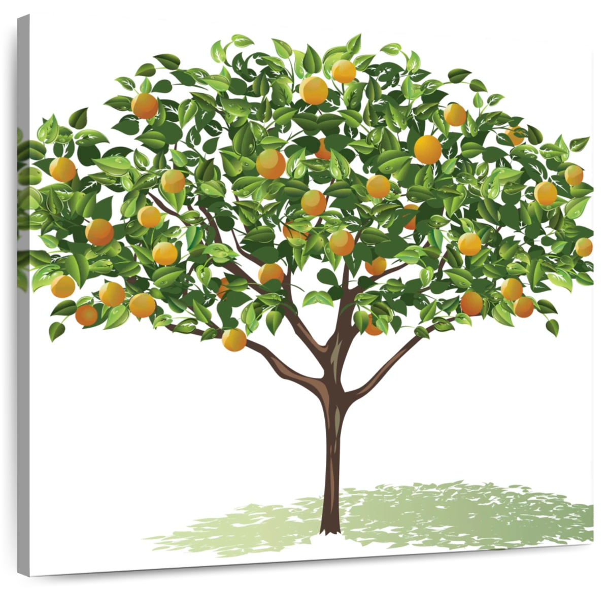 Download Orange Tree, Tree, Nature. Royalty-Free Stock Illustration Image -  Pixabay