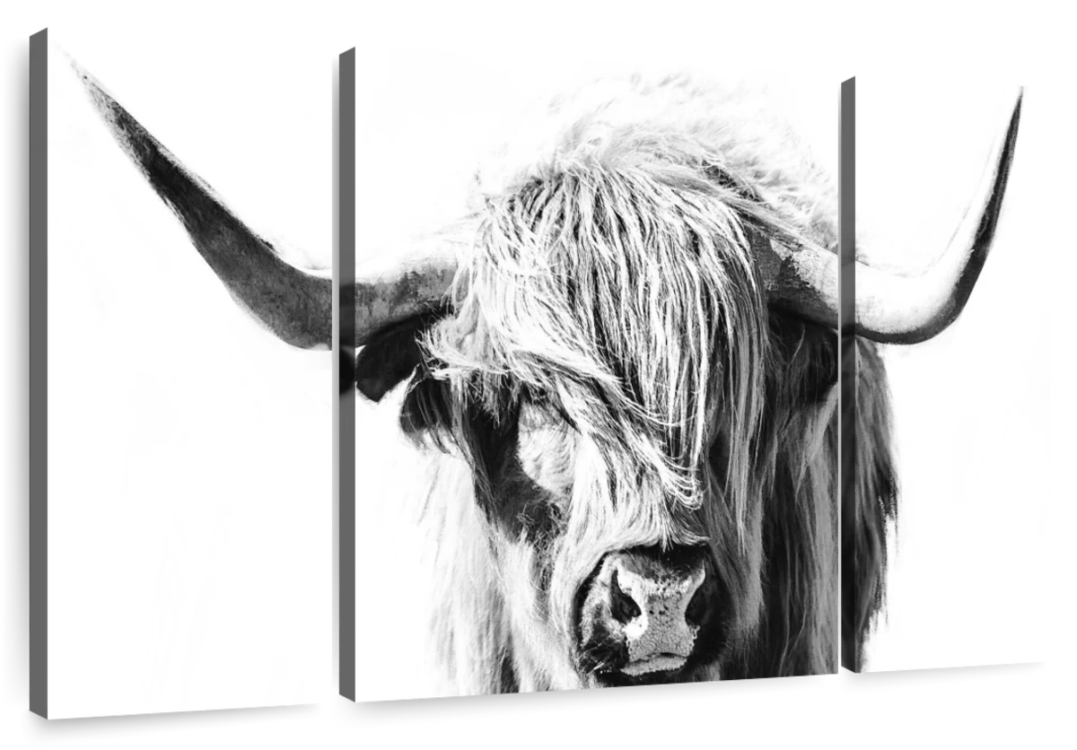 Highland Cow BW Wall Art | Photography | by Norman Wyatt Jr.