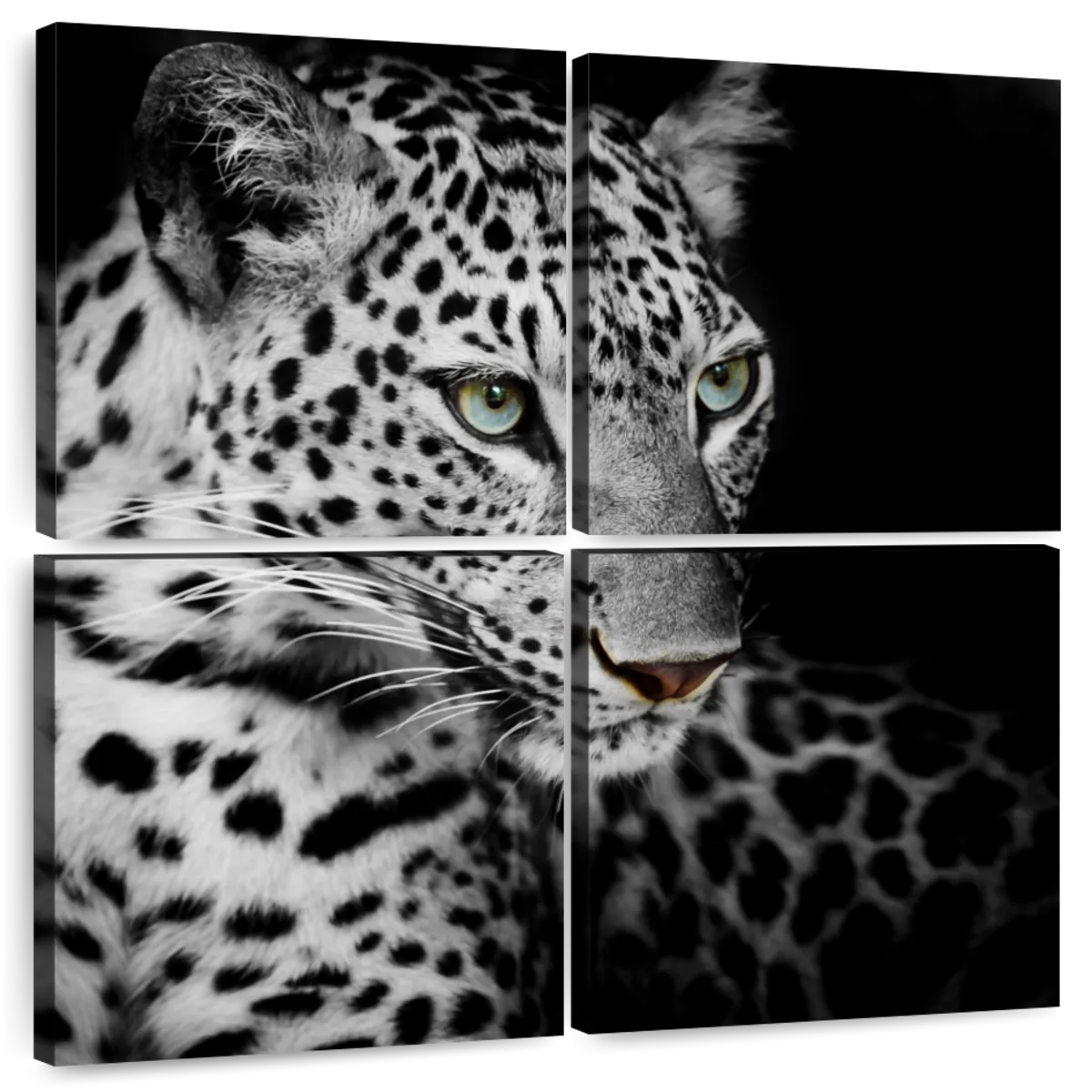 Snow Leopard Pose Wall Art | Photography