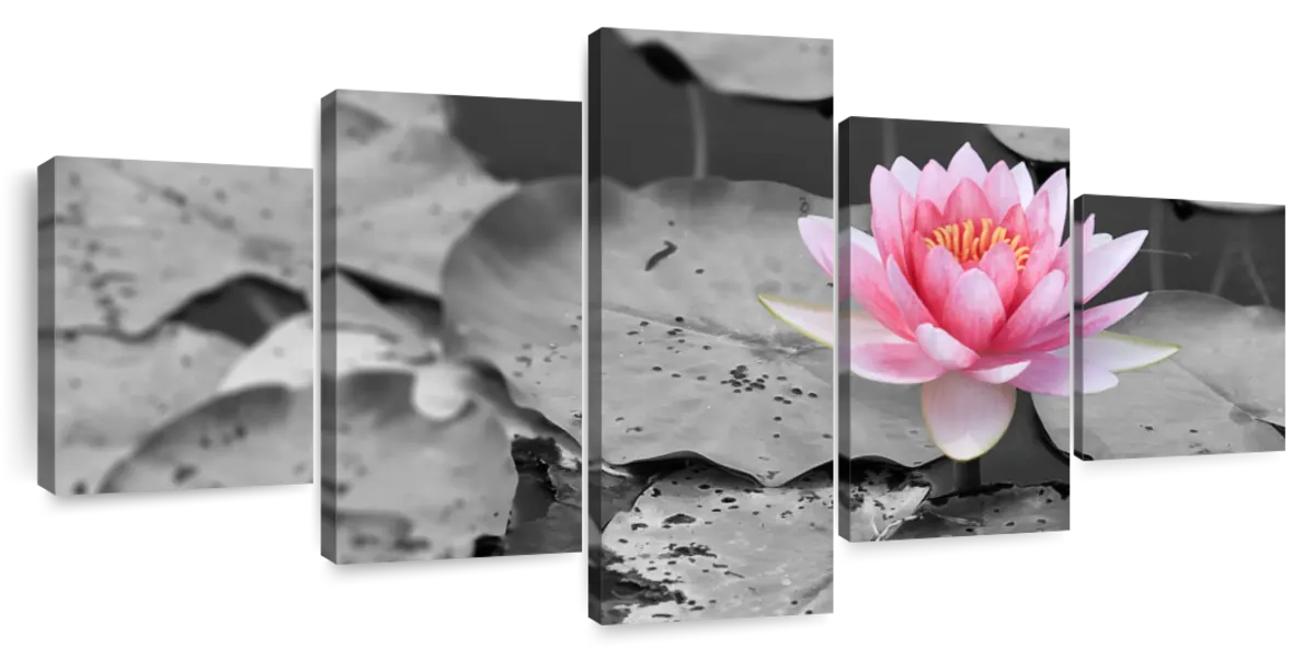 Lotus Flower Pop Wall Art | Photography
