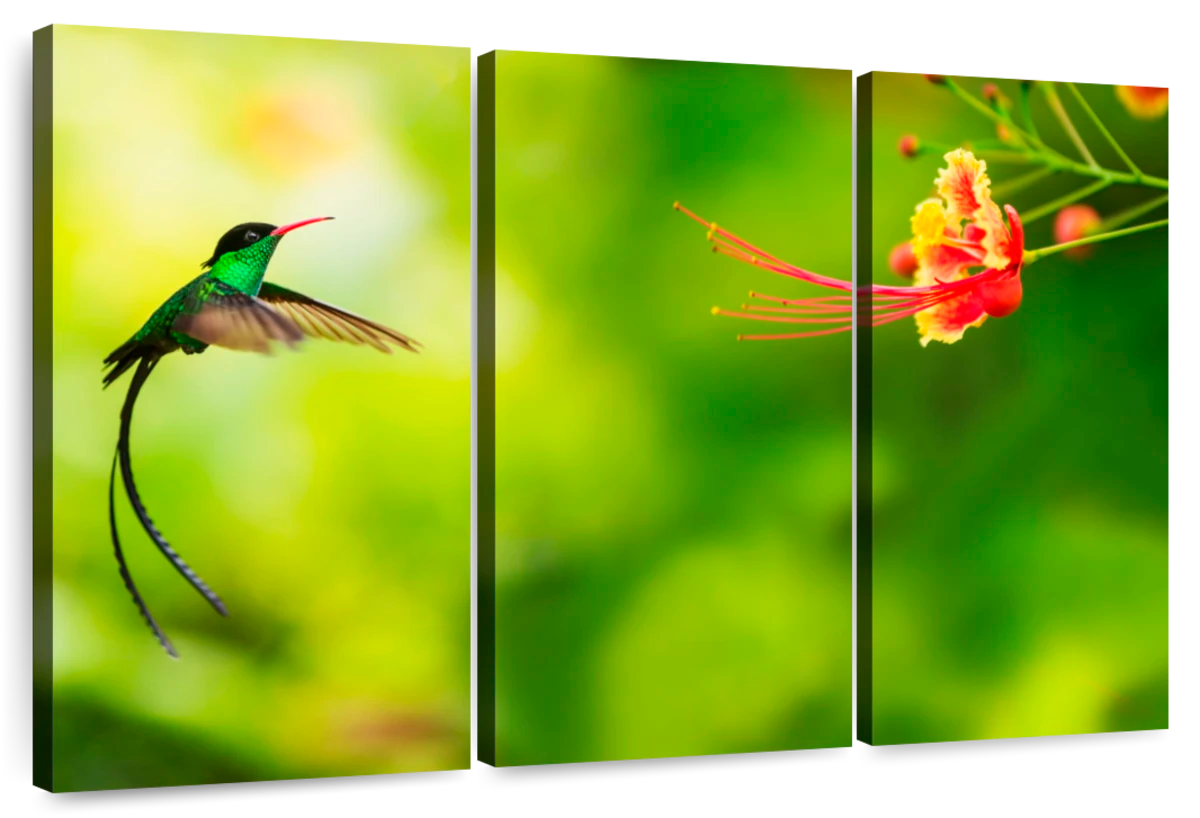 Vibrant Tropical Flower Wall Art Canvas of Hibiscus Flower Painting – Art  of Karen Whitworth