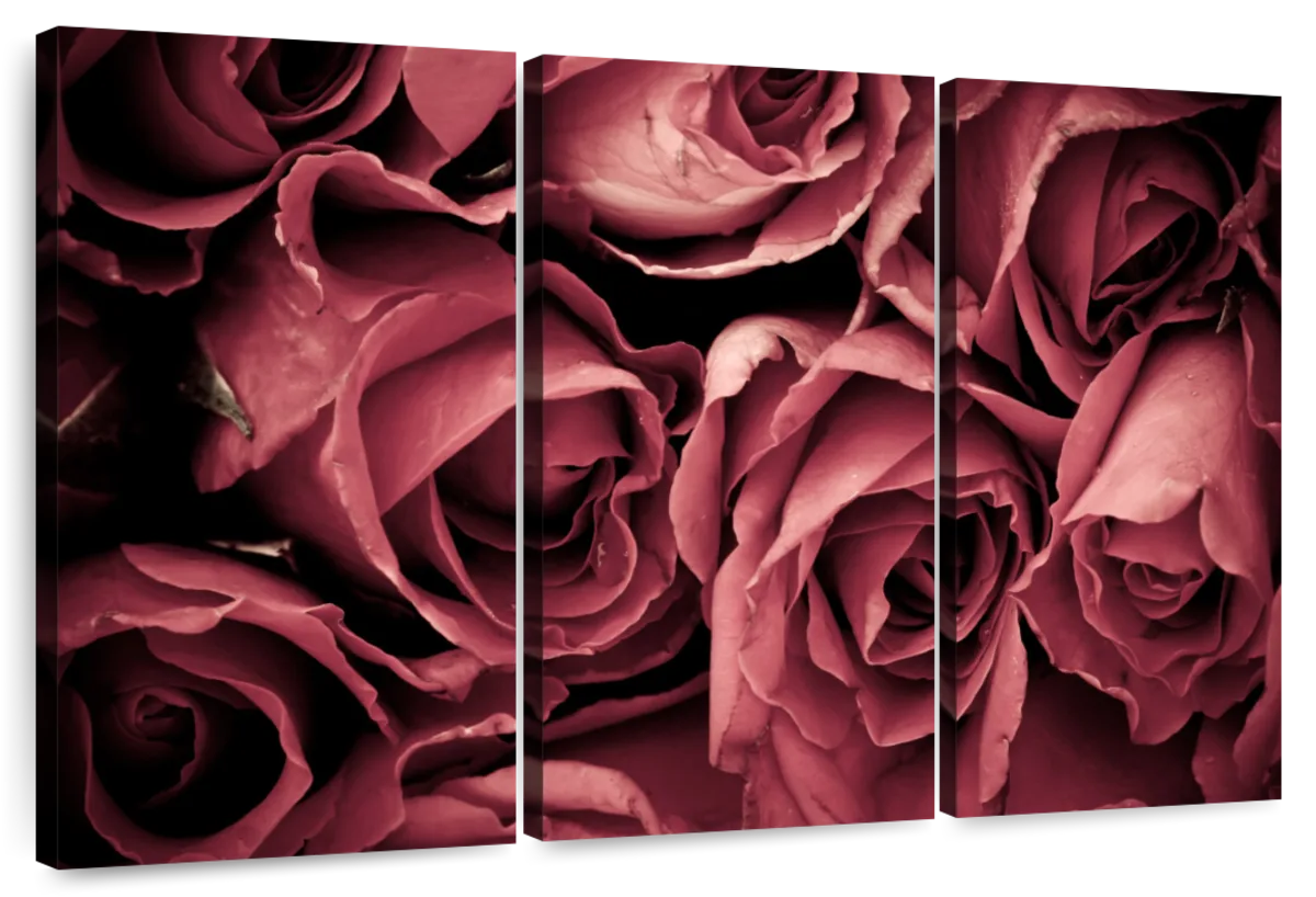 Bunch Of Roses Wall Art | Painting