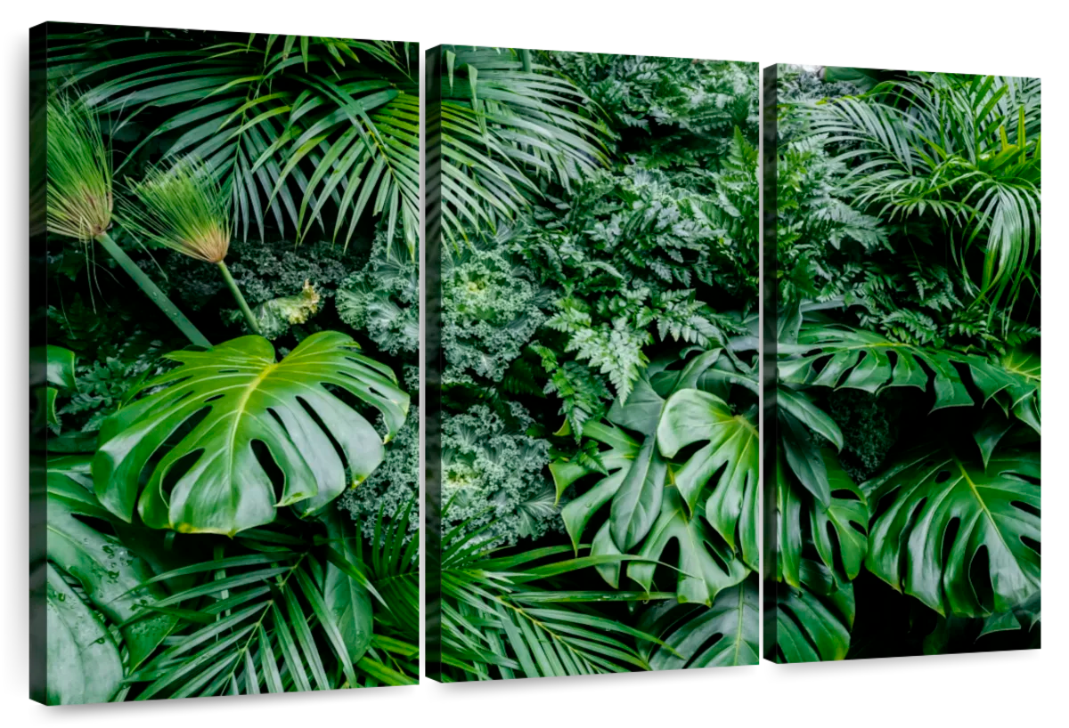 Tropical Jungle Plants Wall Art: Canvas Prints, Art Prints