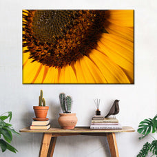 Magnified Sunflower Wall Art | Photography