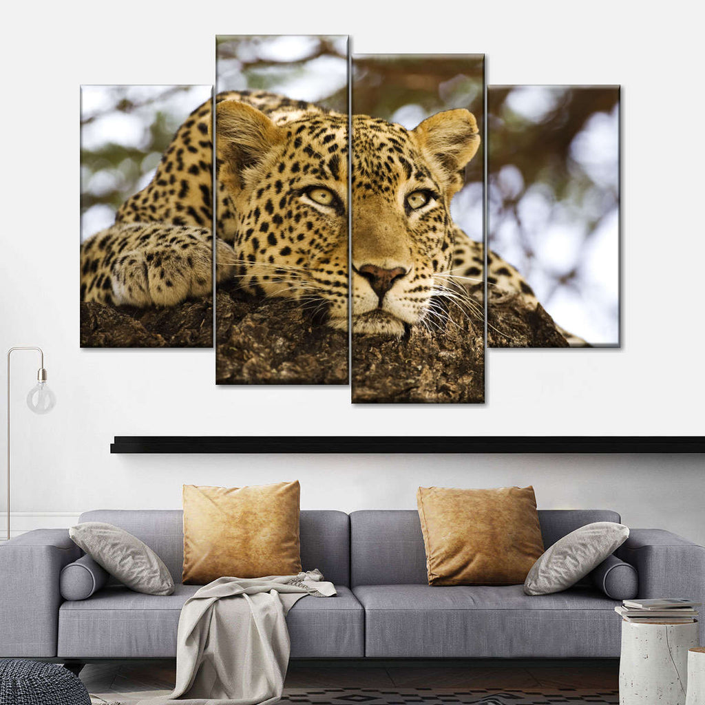 Leopard Looking For Prey Wall Art | Photography | by Scott Stulberg
