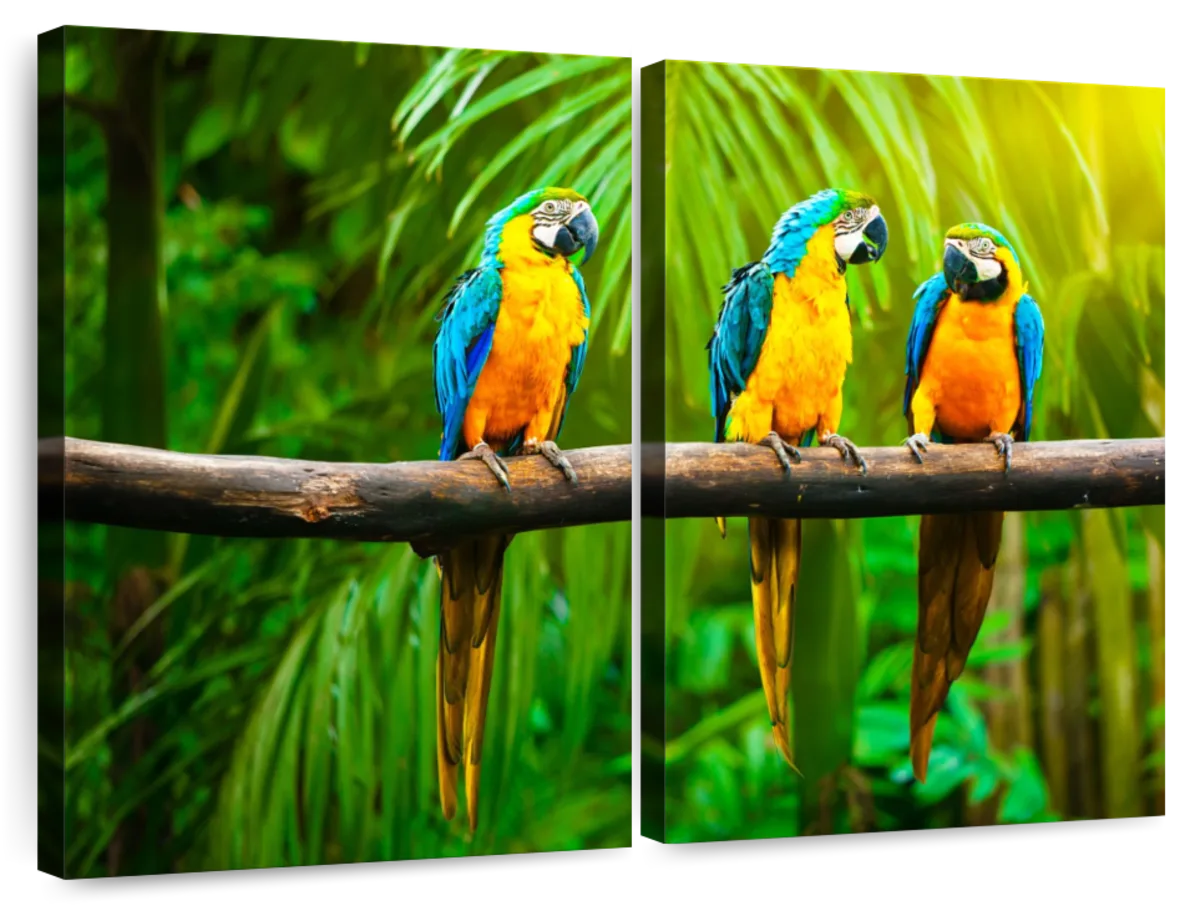 Cuadro sin marco Wood art ml-yellow parrots 42 x 30 cm