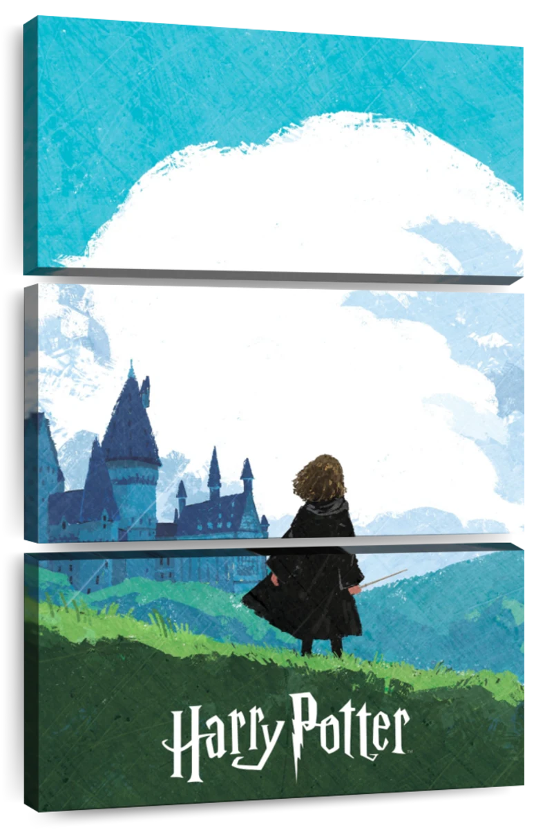 Harry Potter - Hermione Granger Wall Mural | Buy online at