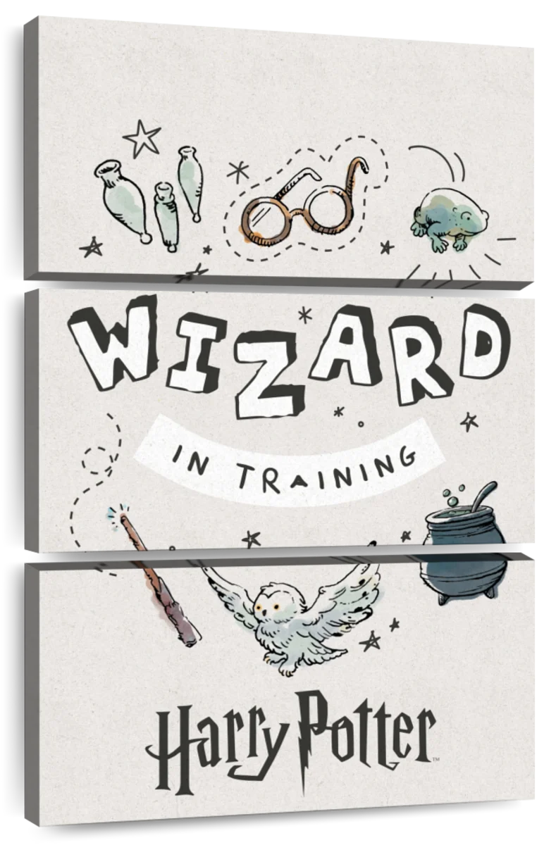 Training Wizard