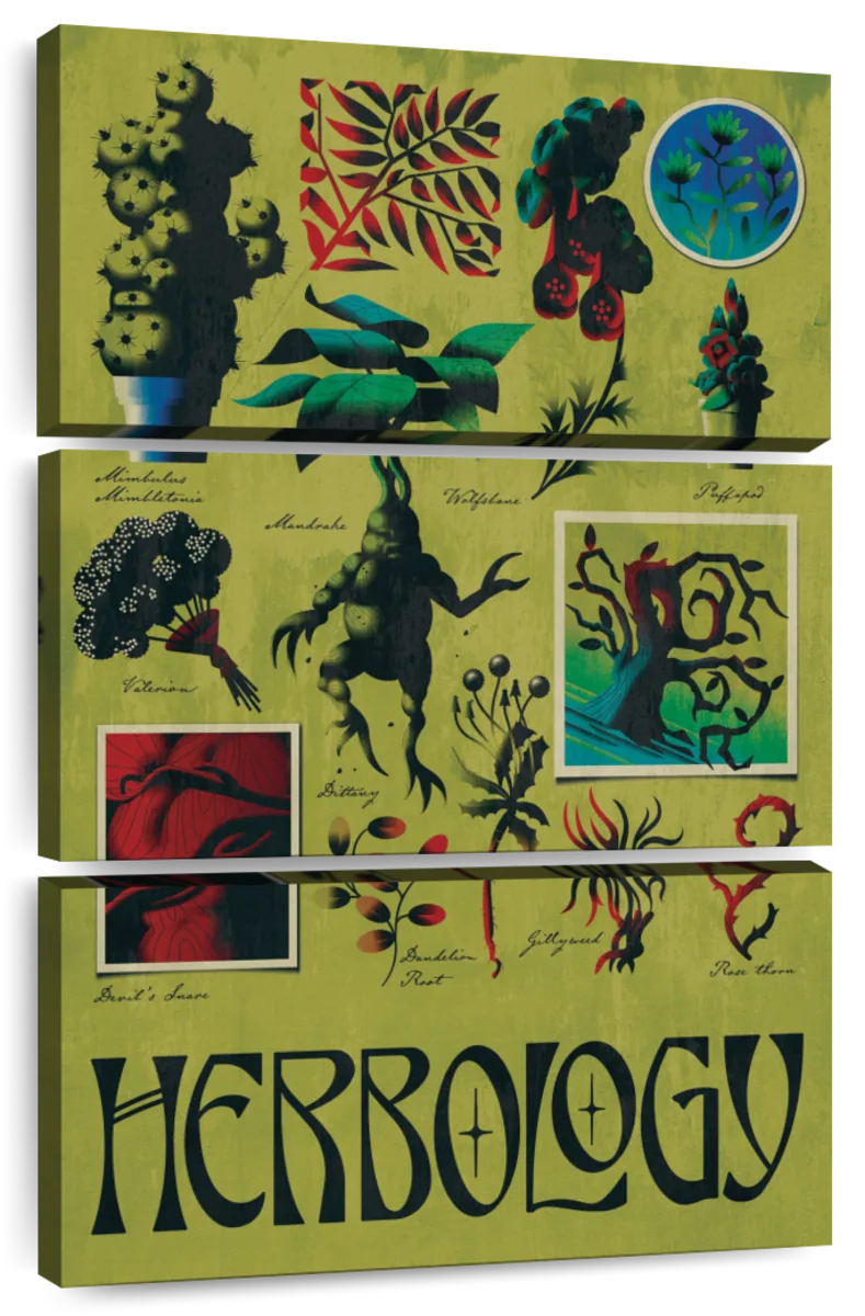 Poster The Mandrake - Herbology