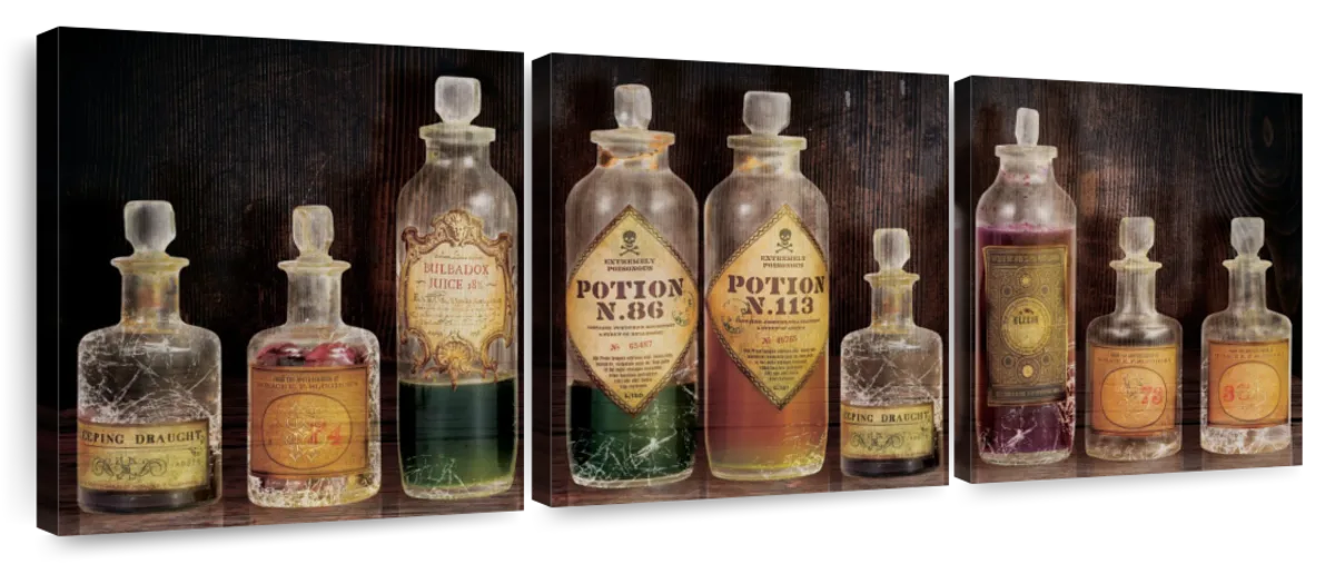 harry potter potion bottles