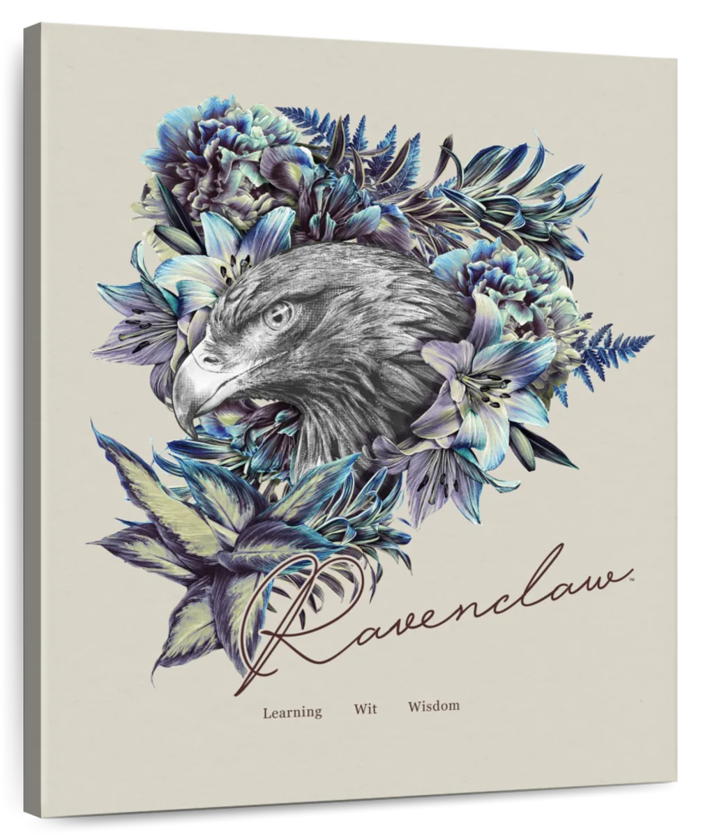 Harry Potter Ravenclaw Art: Canvas Prints, Frames & Posters