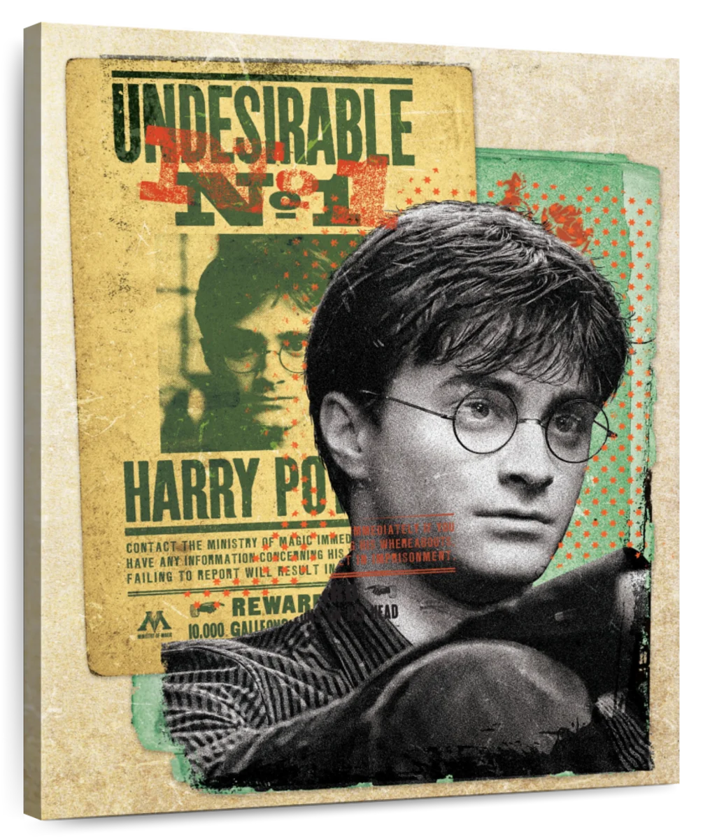 Harry Potter Undesirable No 1 Art: Canvas Prints, Frames & Posters
