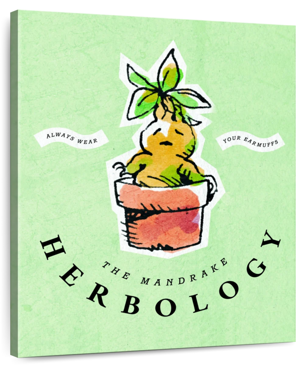 Poster The Mandrake - Herbology