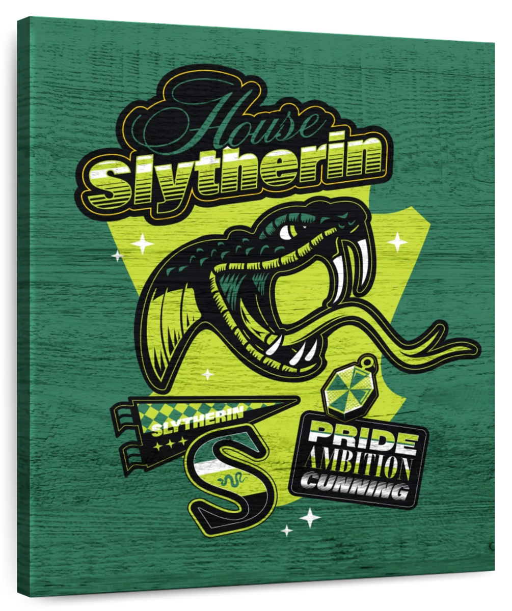 Harry Potter Slytherin Stock Illustrations – 25 Harry Potter