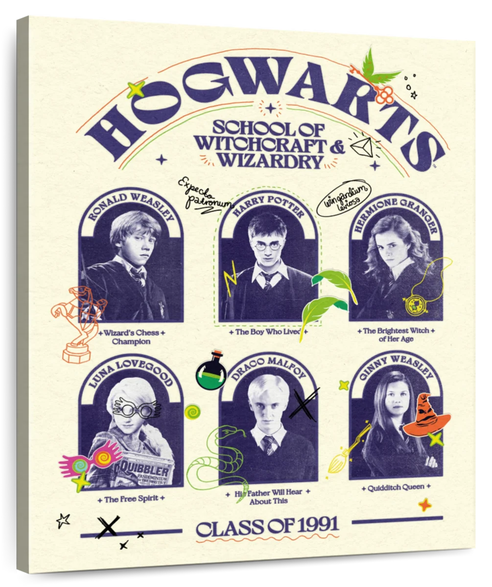 Harry Potter Class Of 1991 Art: Canvas Prints, Frames & Posters