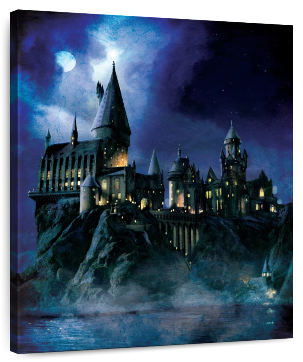 Harry Potter Wall Art  Paintings, Drawings & Photograph Art Prints