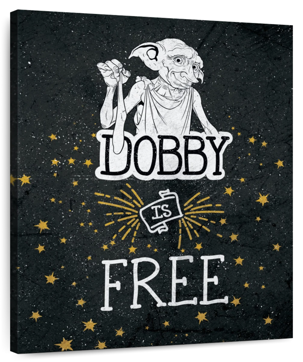 dobby is free