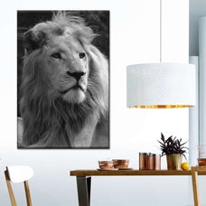 Monochromatic Lion Wall Art | Photography