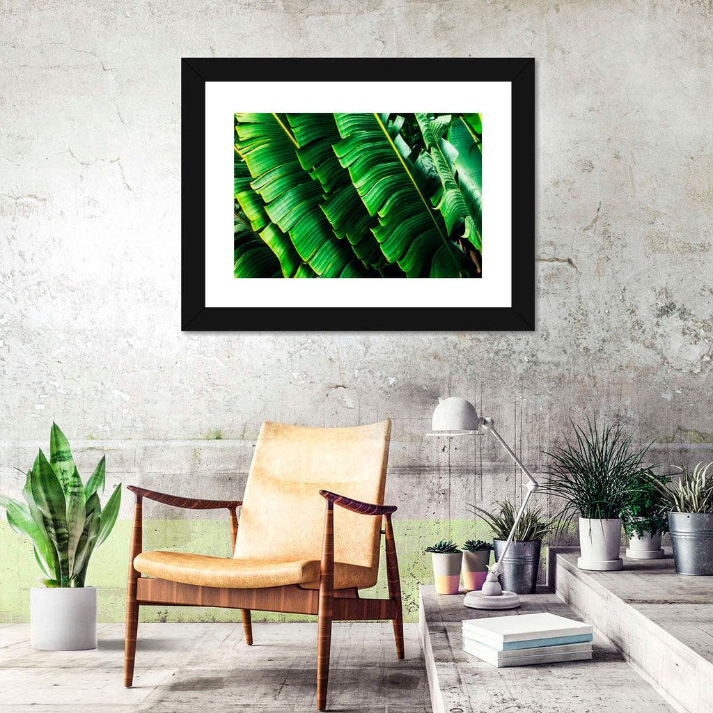 Banana Palm Leaves Wall Art | Photography