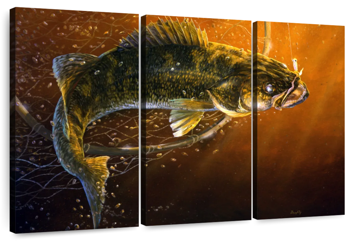 Out Of The Net Walleye Wall Art: Canvas Prints, Art Prints & Framed Canvas