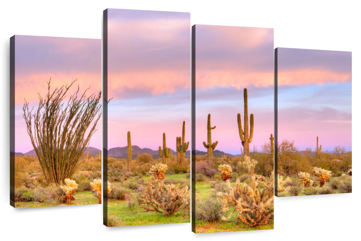 Sonoran Desert At Sunset Wall Art | Photography