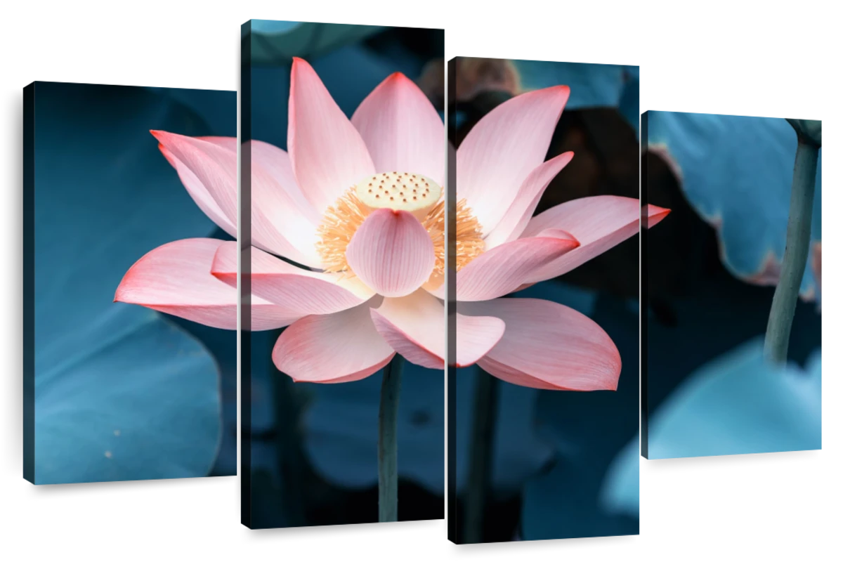 Midnight Lotus Wall Art | Photography
