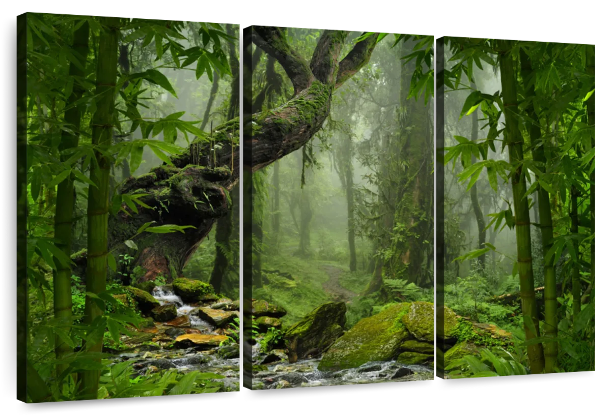 Wall Mural Jungle in Nepal - Tropical Forest With Green Vegetation and Mist  - Forest - Landscapes - Wall Murals