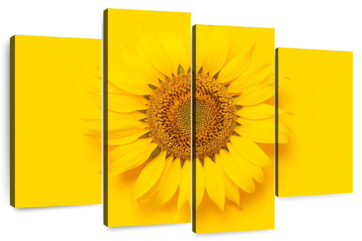 simple sunflower painting
