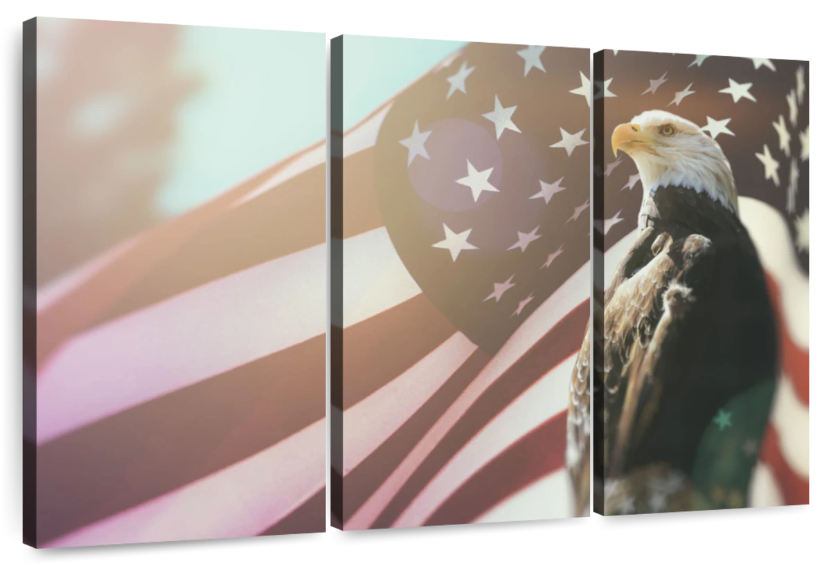 Photo & Art Print American Bald Eagle Flag Patriotism