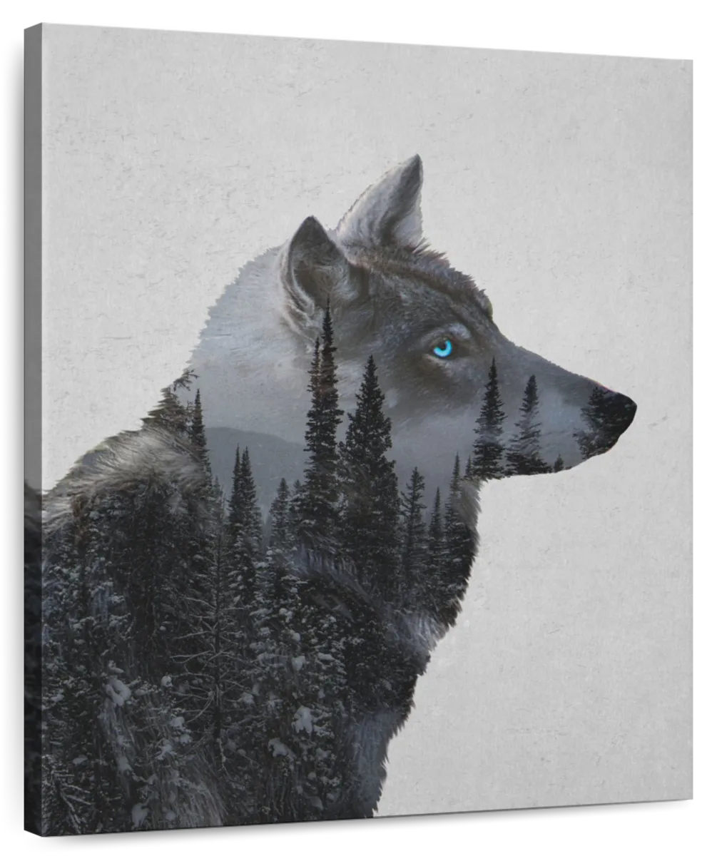 Winter Wolf Wall Art | Photography | by Davies Babies