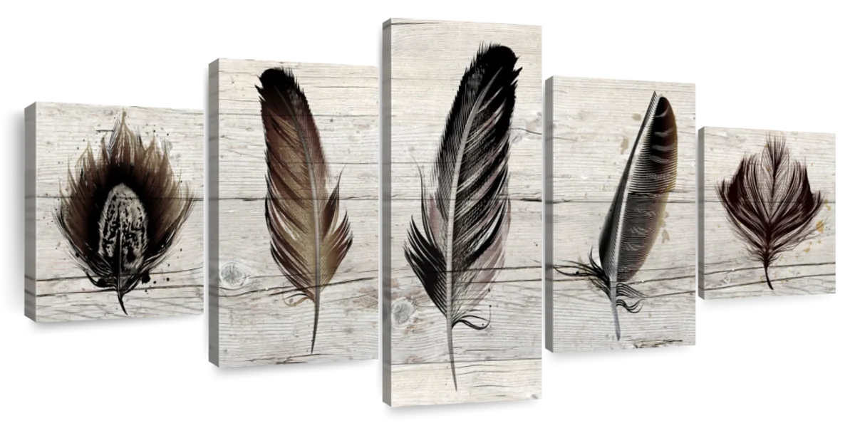 Black Feathers On Wood Wall Art