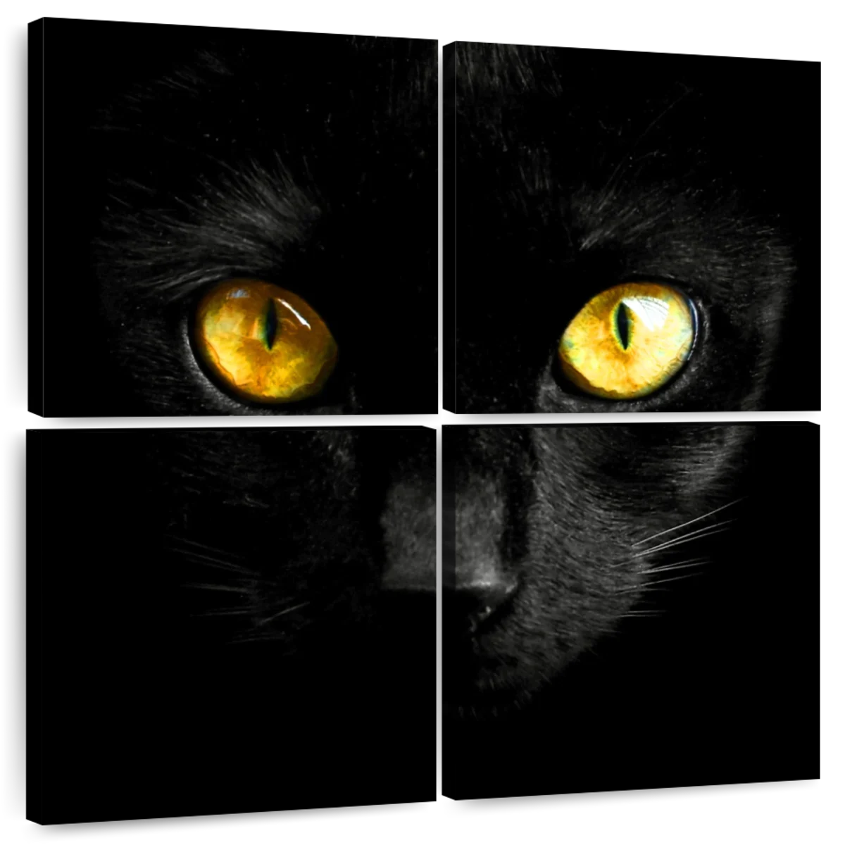 black cat face wallpaper
