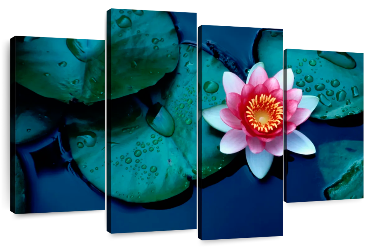 Vibrant Pond Lotus Wall Art | Photography