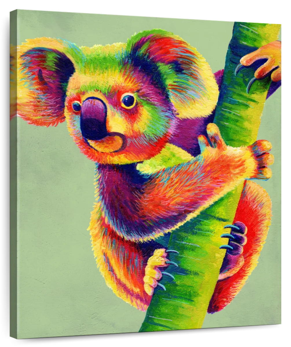 Koala Multicolour Burst Wall Art With Black Frame