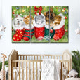 Dogs and cats in stockings 3 piece Wall Decor