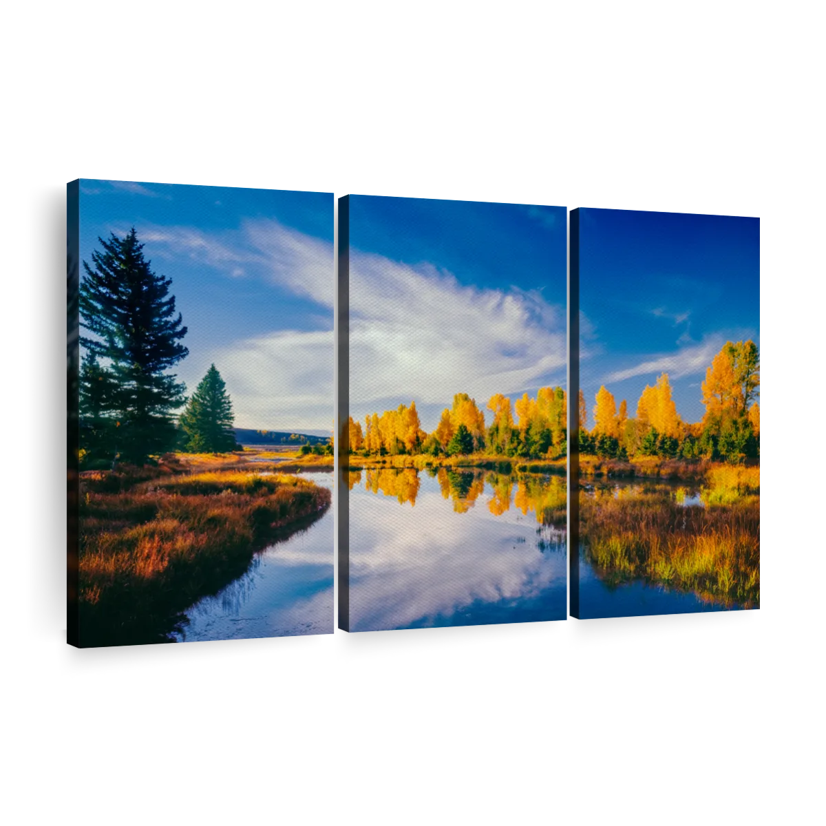 Snake River Trees Wall Art | Photography