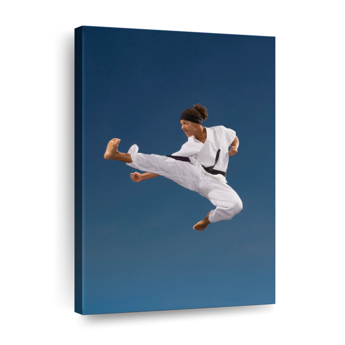taekwondo kicks wallpaper