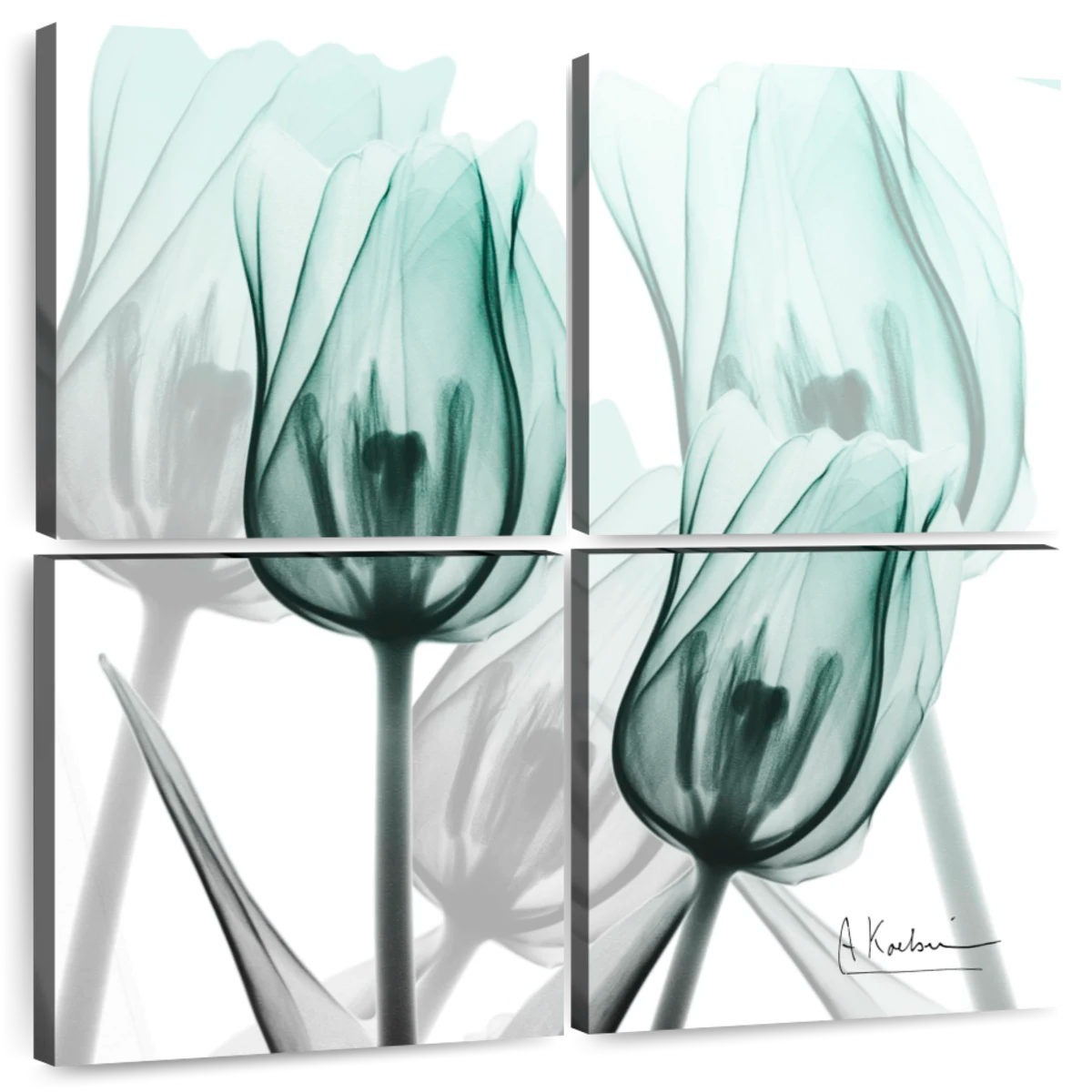 Tulip Wall Art | Paintings, Drawings & Photograph Art Prints