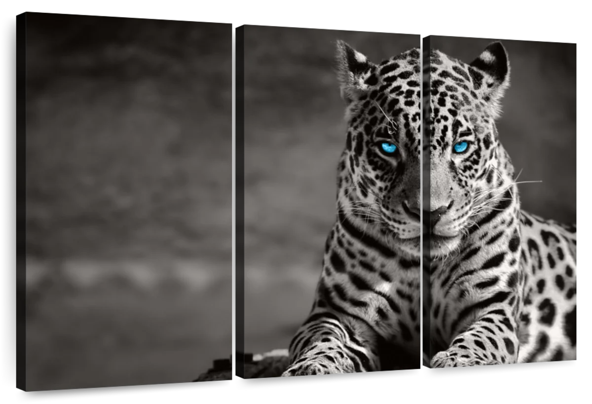 Jaguar Eyes Pop Wall Art | Photography