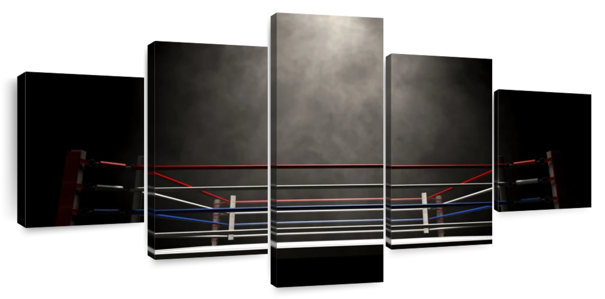 Boxing Ring Boxer Boxing