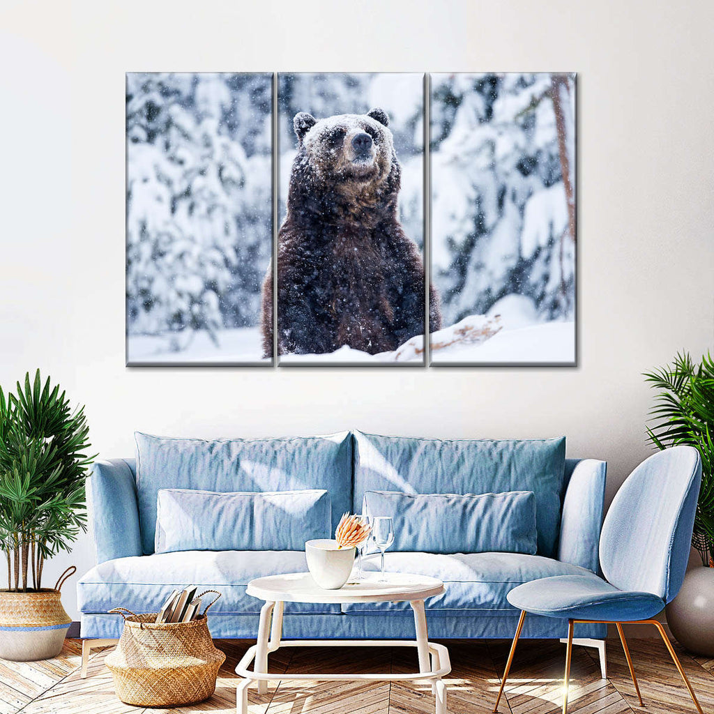 Grizzly Bear In Snow Wall Art | Photography
