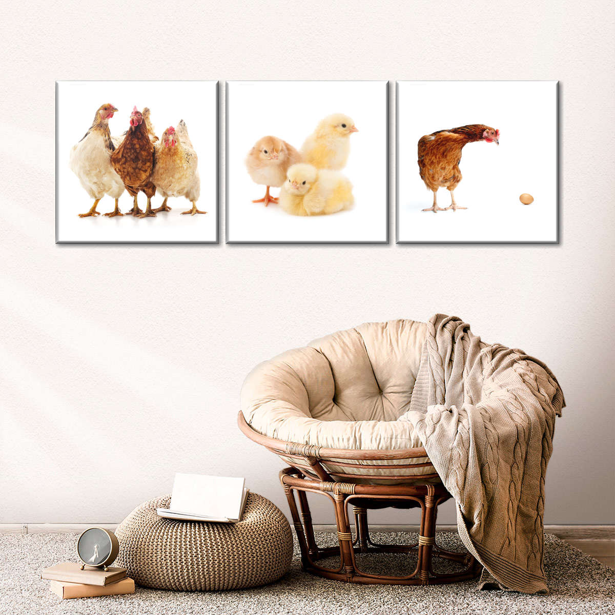 Stages Of Chicken Wall Art | Photography