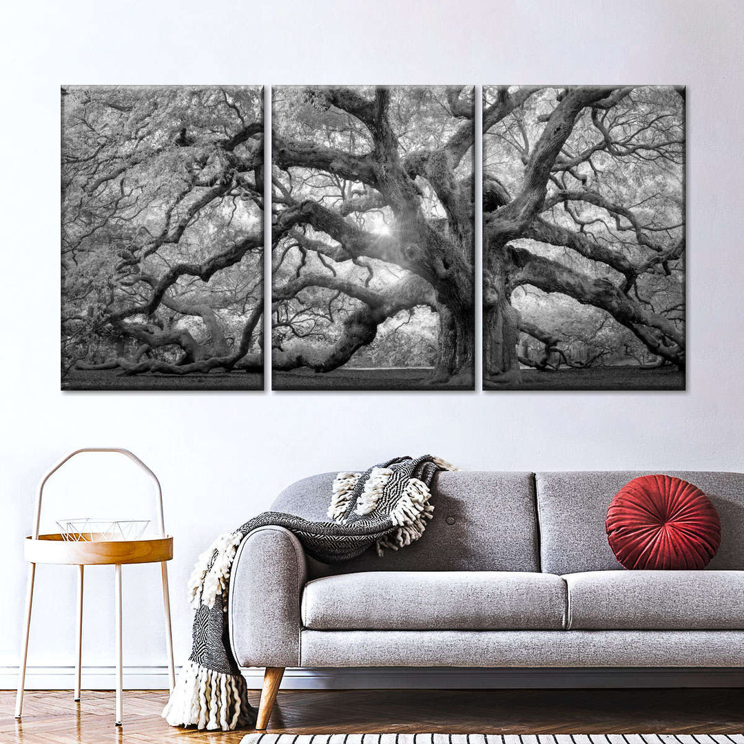 Monochrome Angel Oak Tree Wall Art | Photography