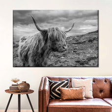 Monotone Highland Cow Wall Art | Photography