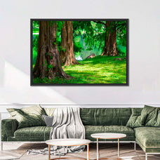 Dawn Redwoods Wall Art | Photography