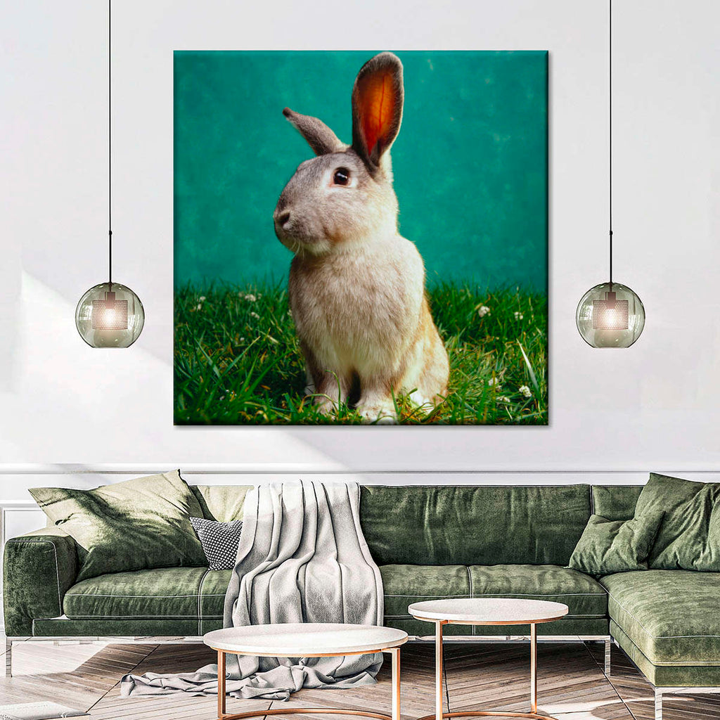 Bunny Portrait Wall Art | Photography