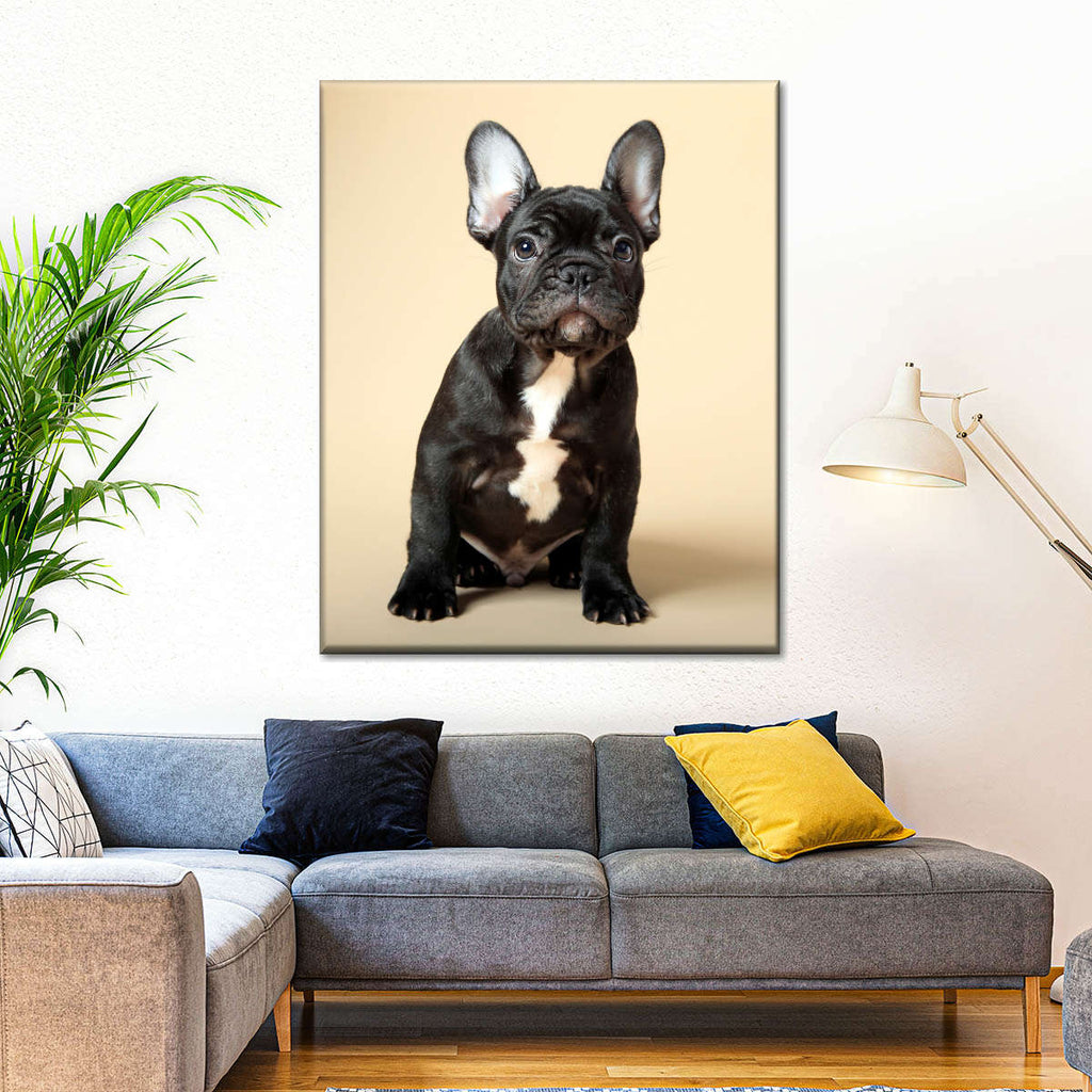 Tuxedo French Bulldog Wall Art | Photography