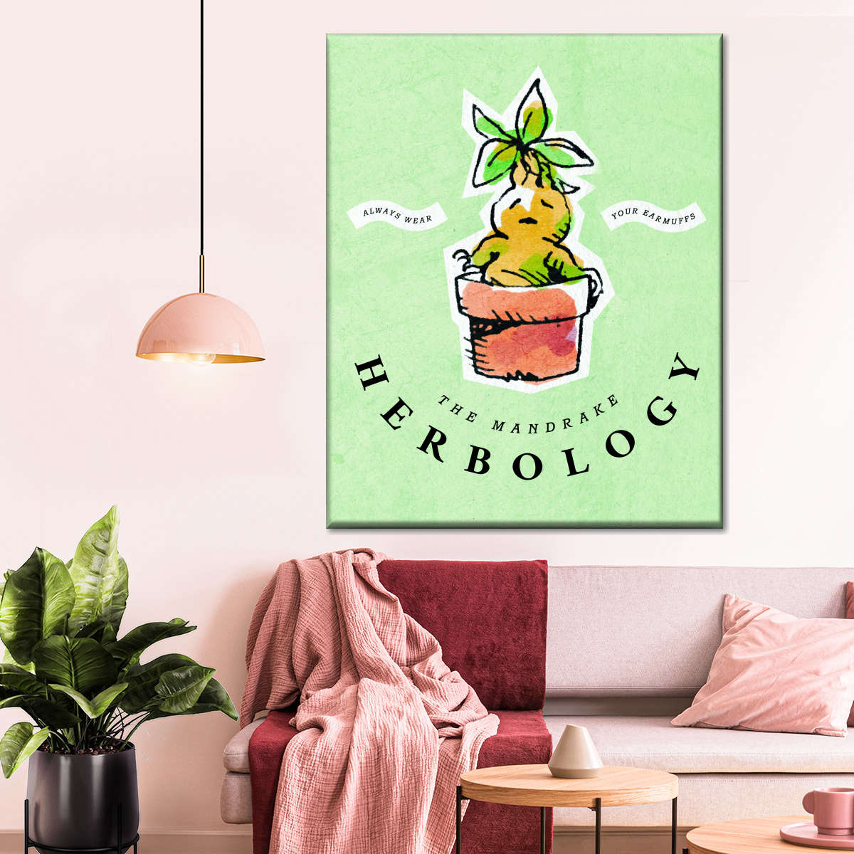 Poster The Mandrake - Herbology