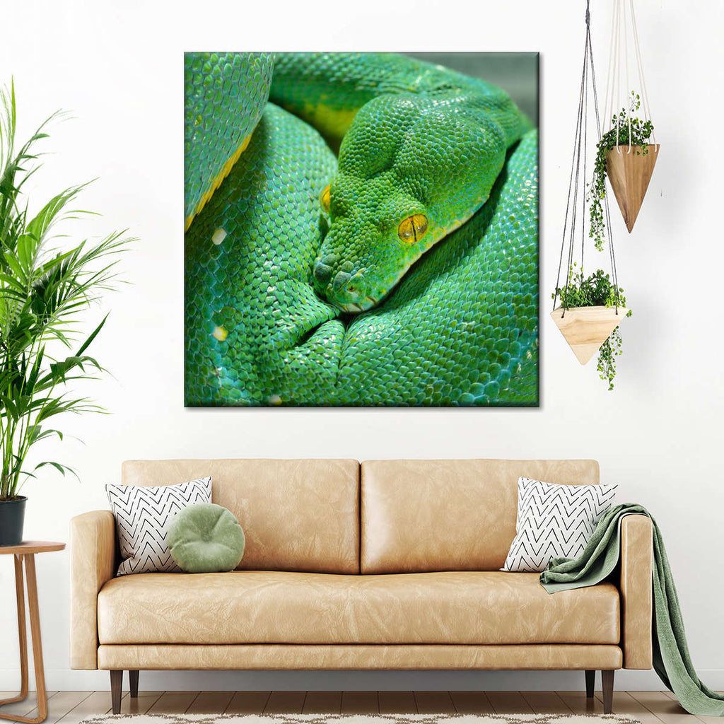 Green Tree Python Wall Art | Photography